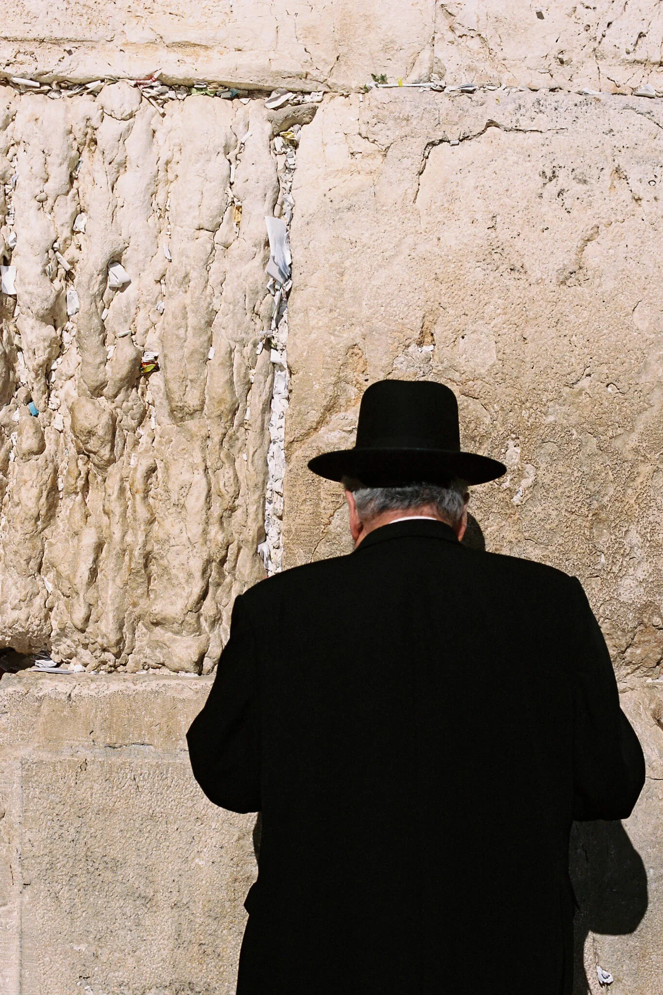 Israel w/ Kohls 17