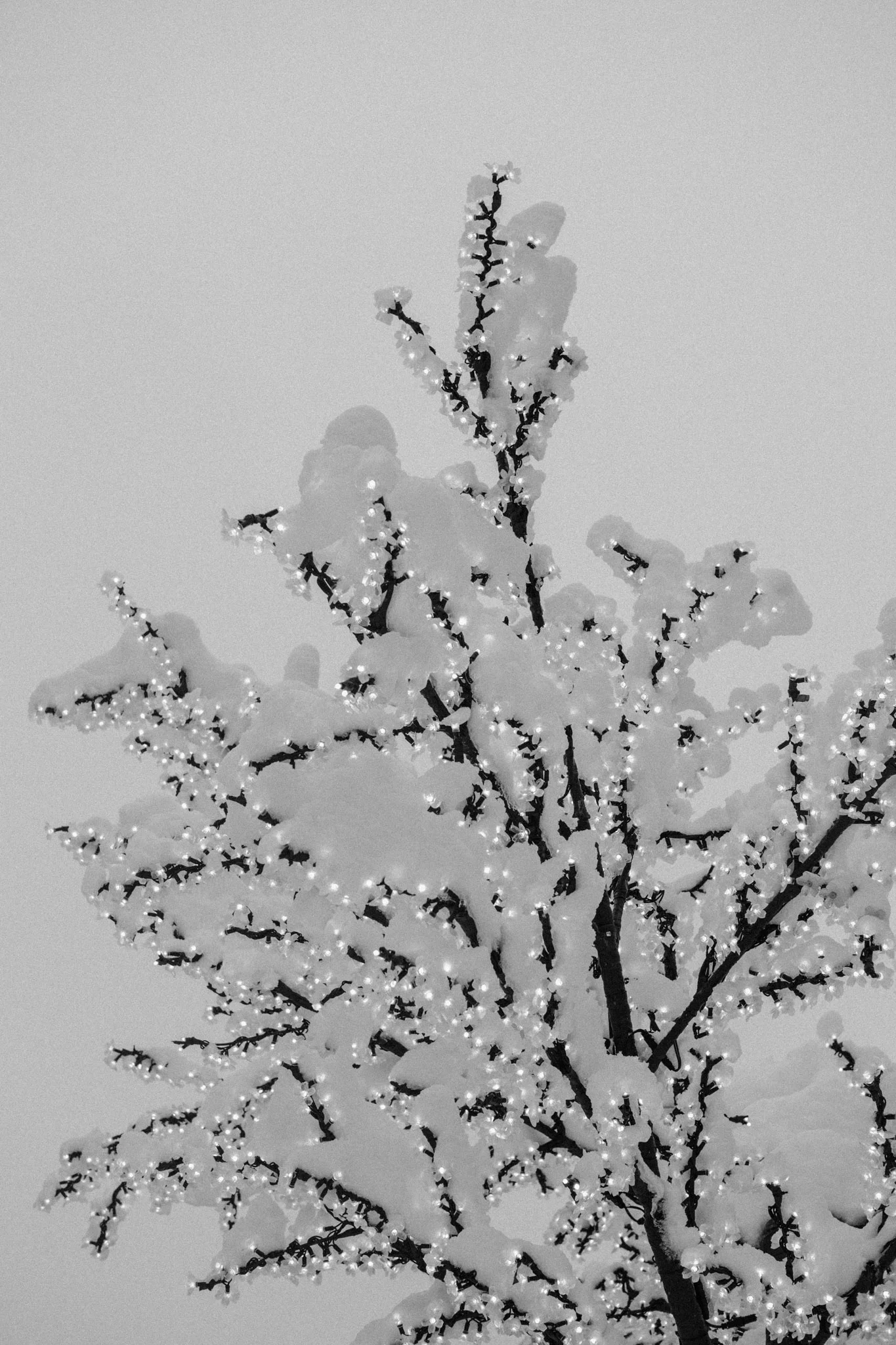 Visual Journal 03 3